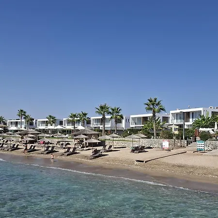 Stylish Loft - 50m From * Paralimni