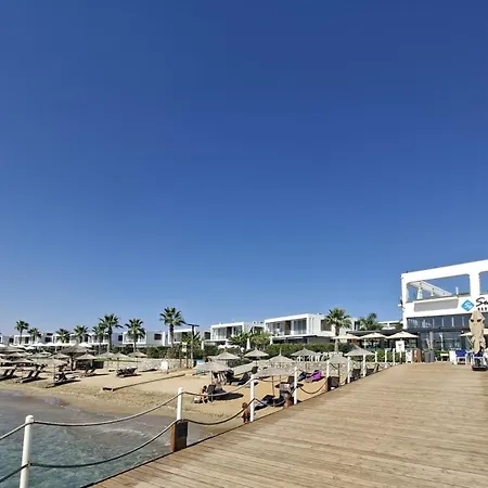Stylish Loft - 50m From